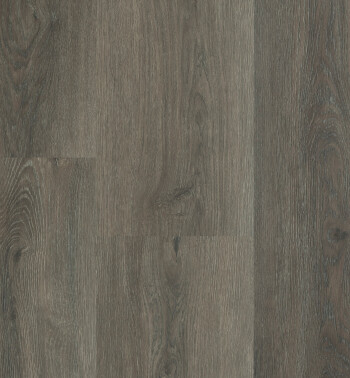 Charente_Lange plank_5462 (2)