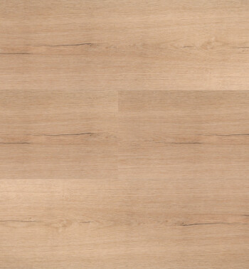 HBG_52_img583_54852_Samengesteld-LR